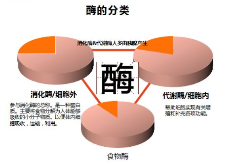 发酵饲料中的酶添加剂